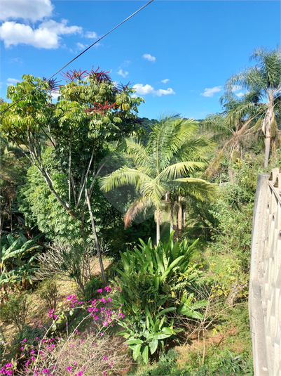 Foto REO1089957