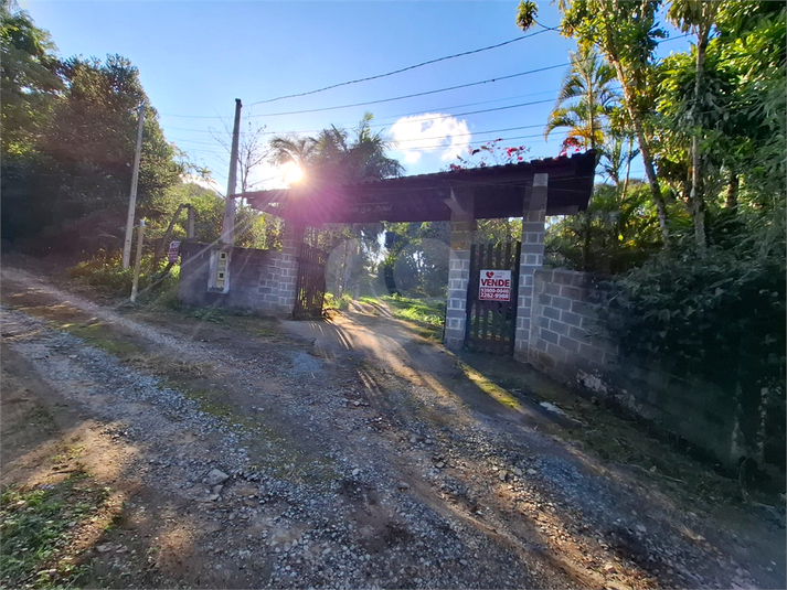 Foto REO1089957