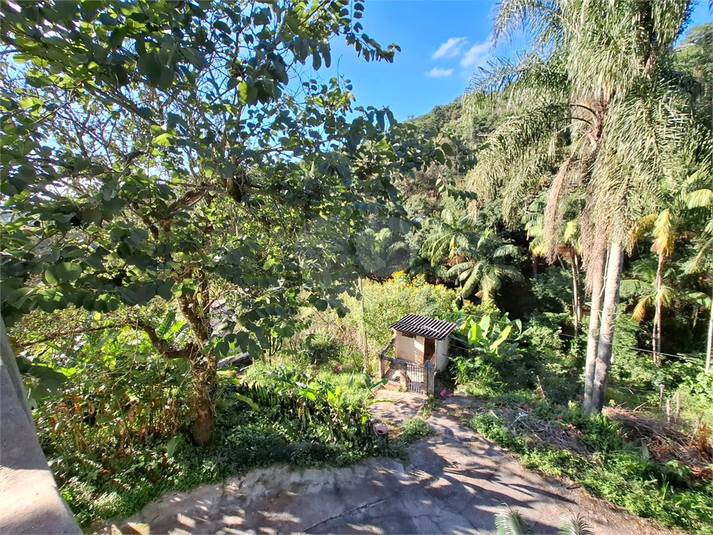 Foto REO1089957