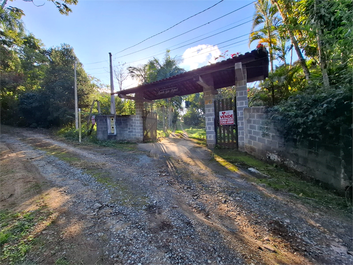 Foto REO1089957