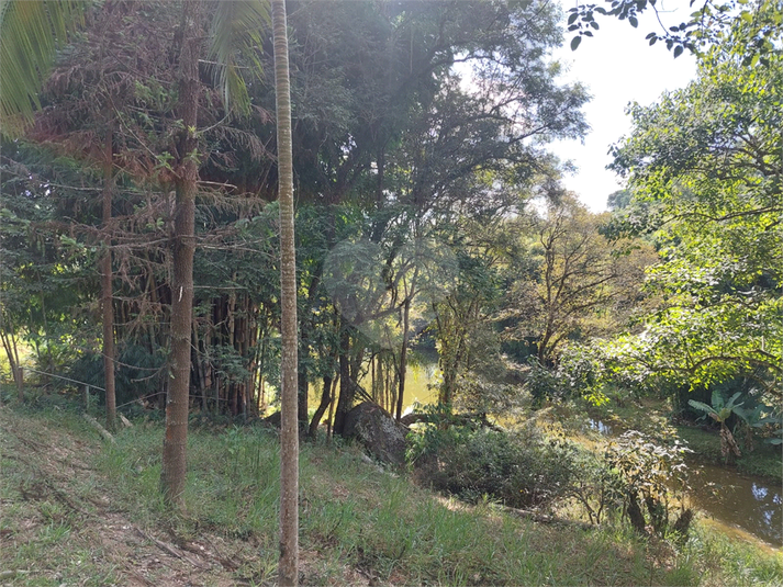 Foto REO1089957