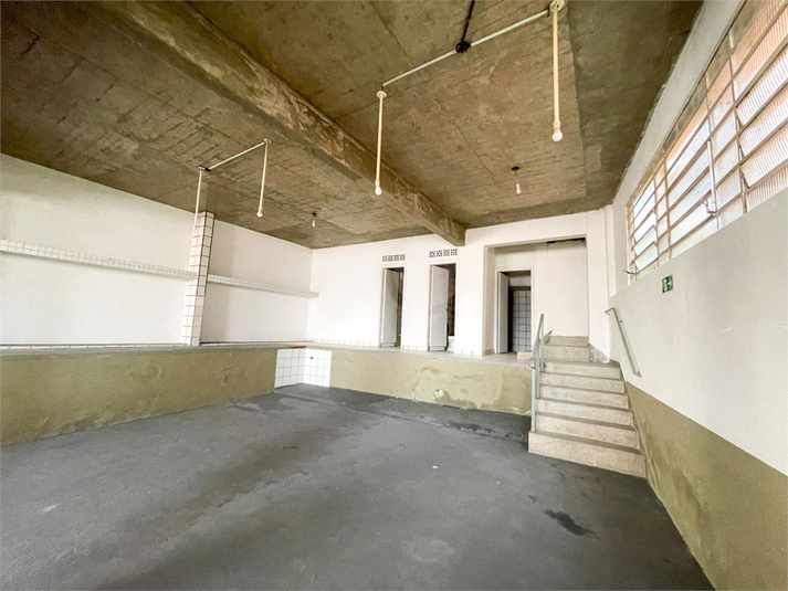 Foto REO1089959