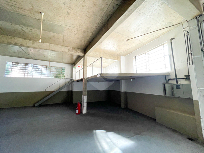 Foto REO1089959