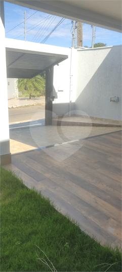 Foto REO1089962