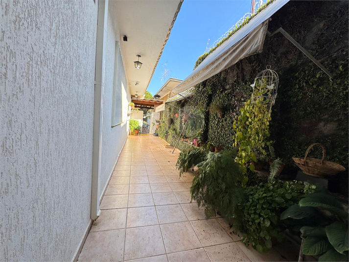Foto REO1089964