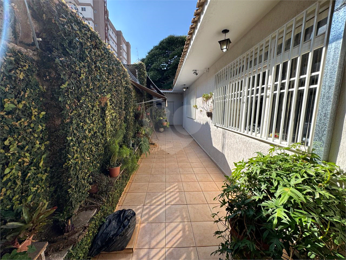 Foto REO1089964