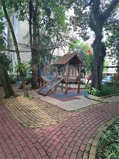 Foto REO1089965