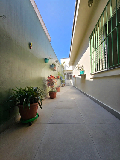 Foto REO1089976