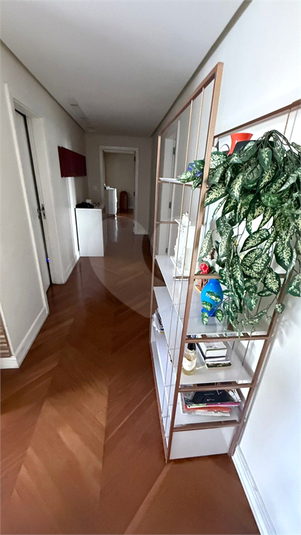 Foto REO1090023