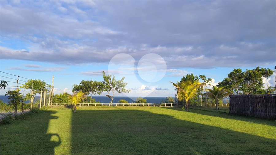 Foto REO1090062