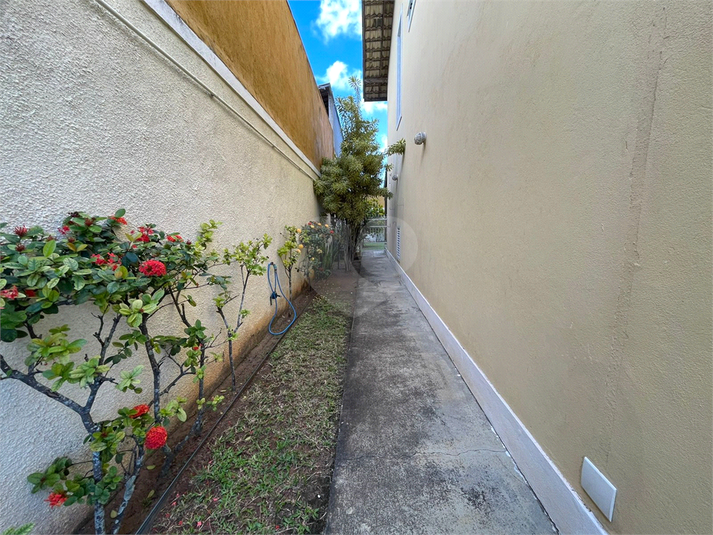 Foto REO1090063