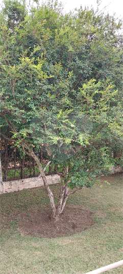 Foto REO1090066