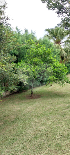 Foto REO1090066