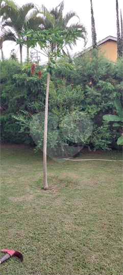Foto REO1090066