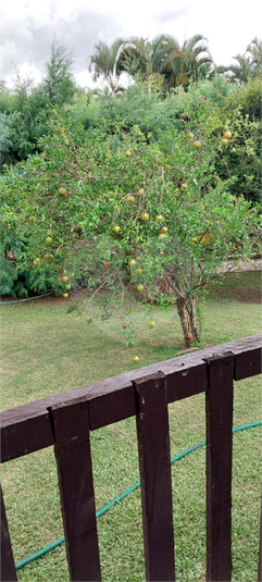 Foto REO1090066