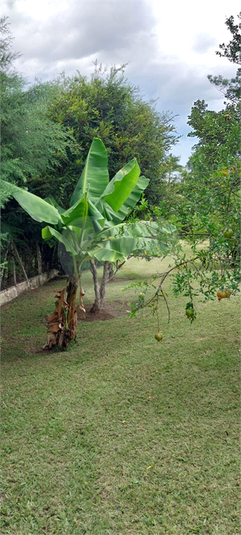 Foto REO1090066