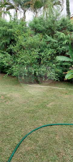 Foto REO1090066
