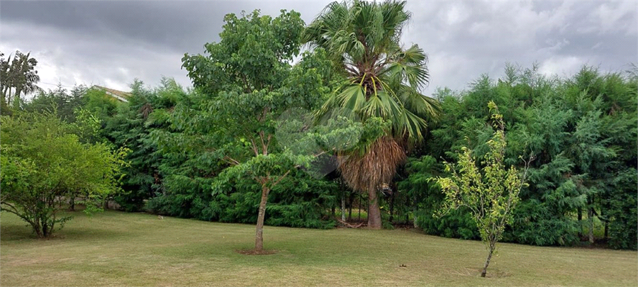 Foto REO1090066