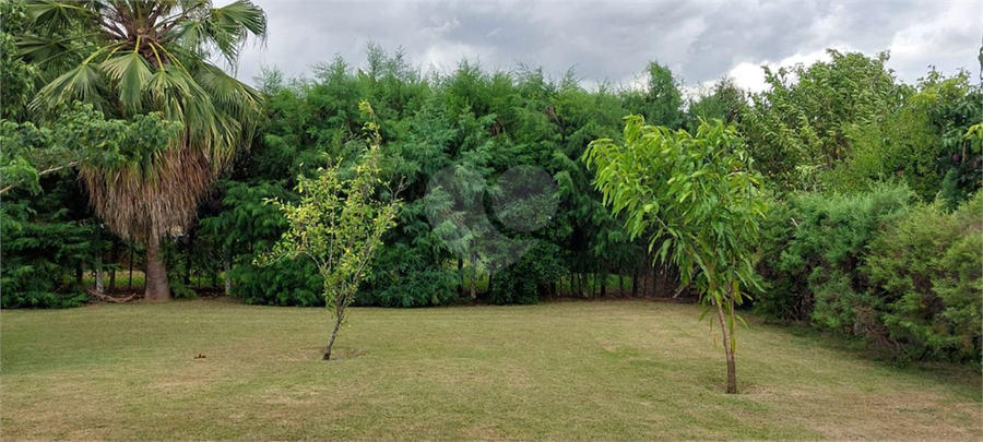 Foto REO1090066