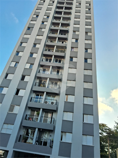 Foto REO1090069