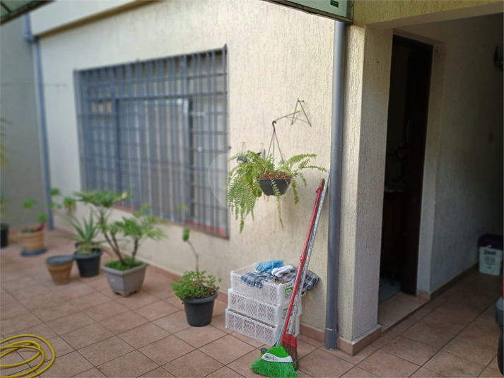 Foto REO1090085