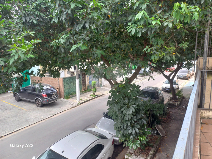 Foto REO1090108