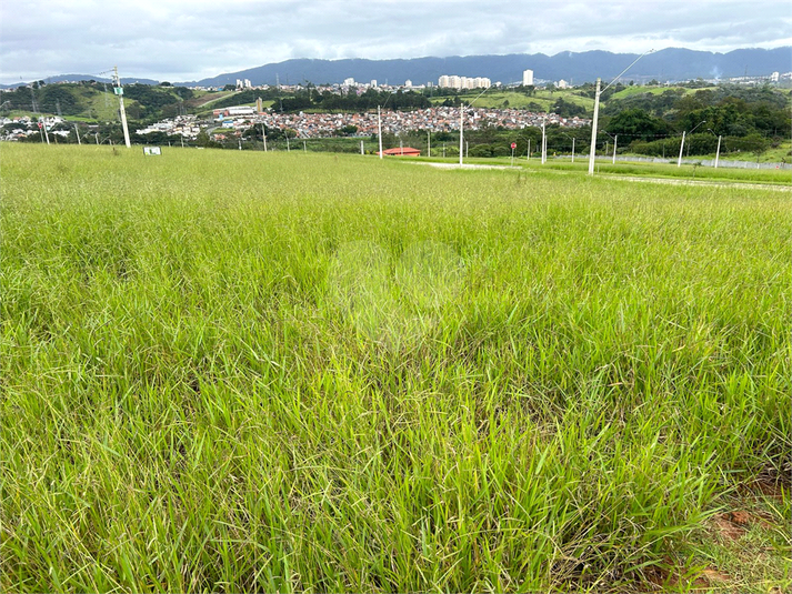 Foto REO1090157