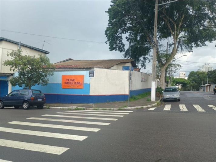 Foto REO1090167