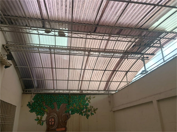 Foto REO1090167