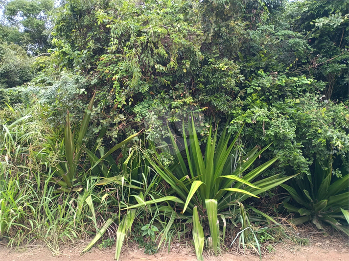 Foto REO1090177