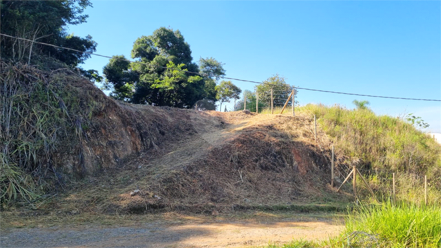 Foto REO1090193