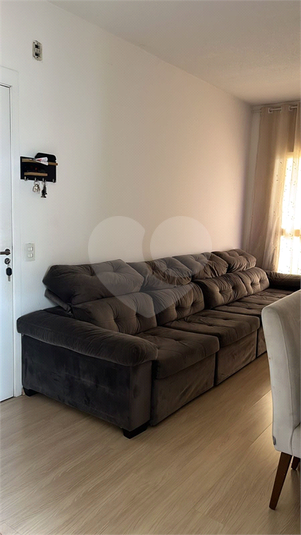Foto REO1090211