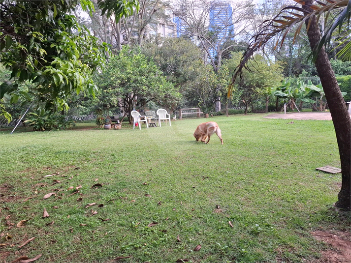 Foto REO1090230