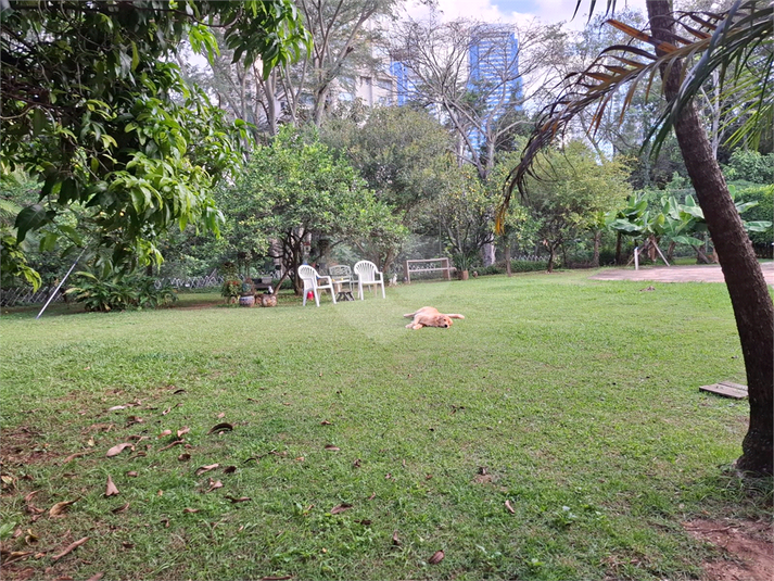 Foto REO1090230
