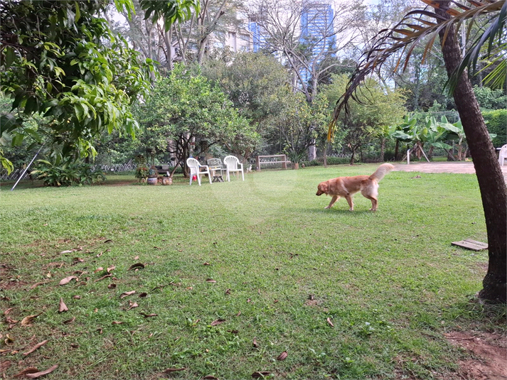 Foto REO1090230