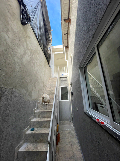 Foto REO1090247