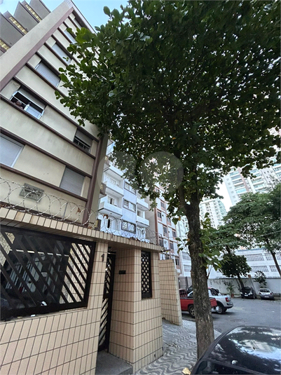 Foto REO1090248
