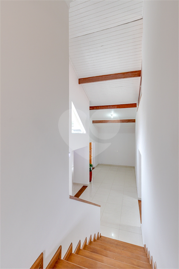 Foto REO1090266