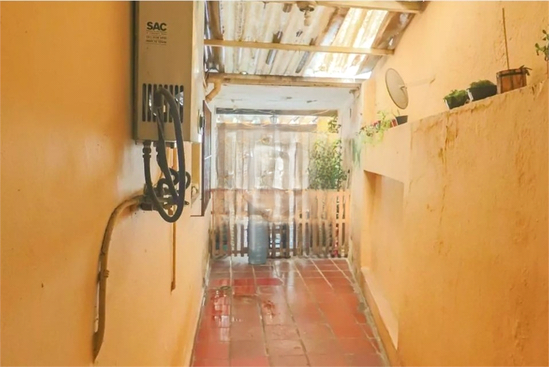 Foto REO1090267