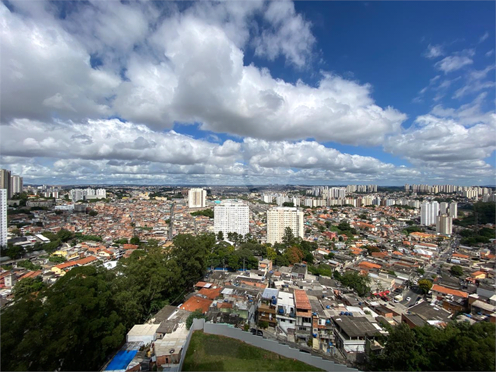 Foto REO1090282