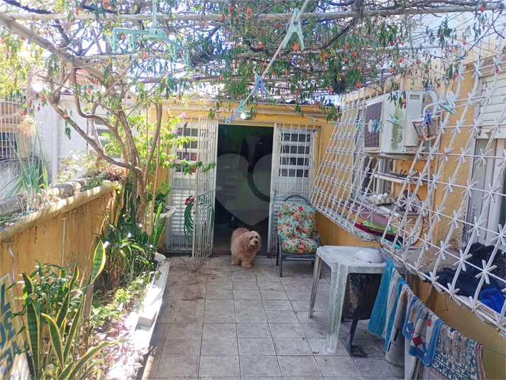 Foto REO1090286