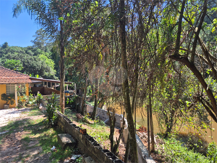 Foto REO1090338