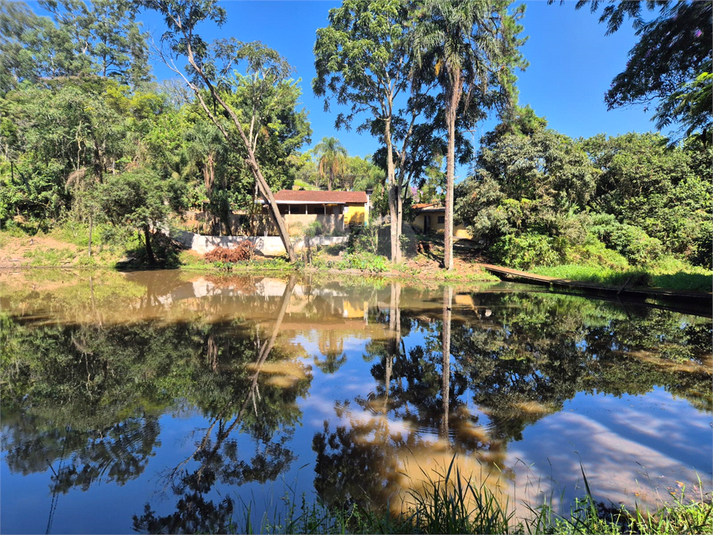 Foto REO1090338