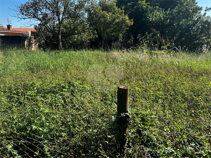 Foto REO1090349