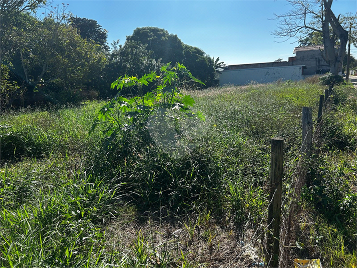 Foto REO1090357