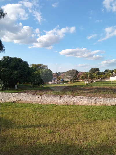 Foto REO1090361