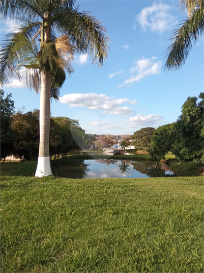 Foto REO1090361
