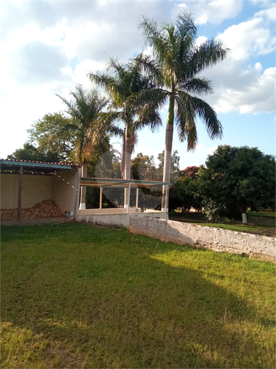 Foto REO1090361