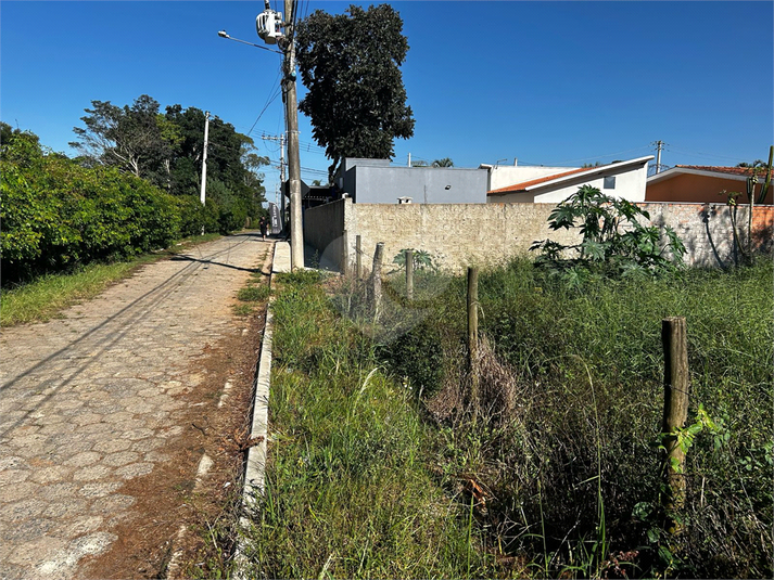 Foto REO1090363
