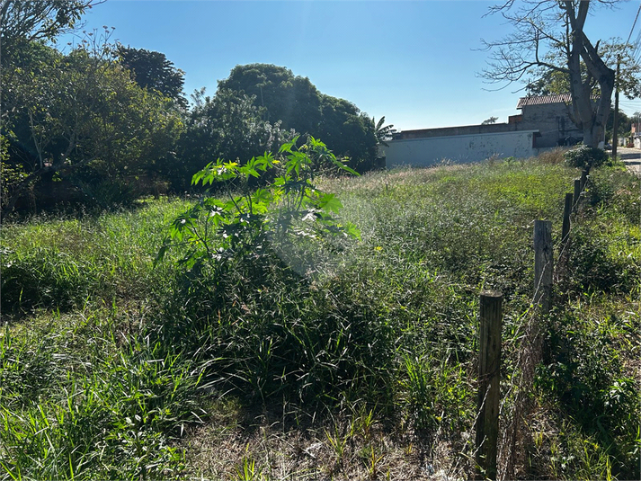 Foto REO1090363